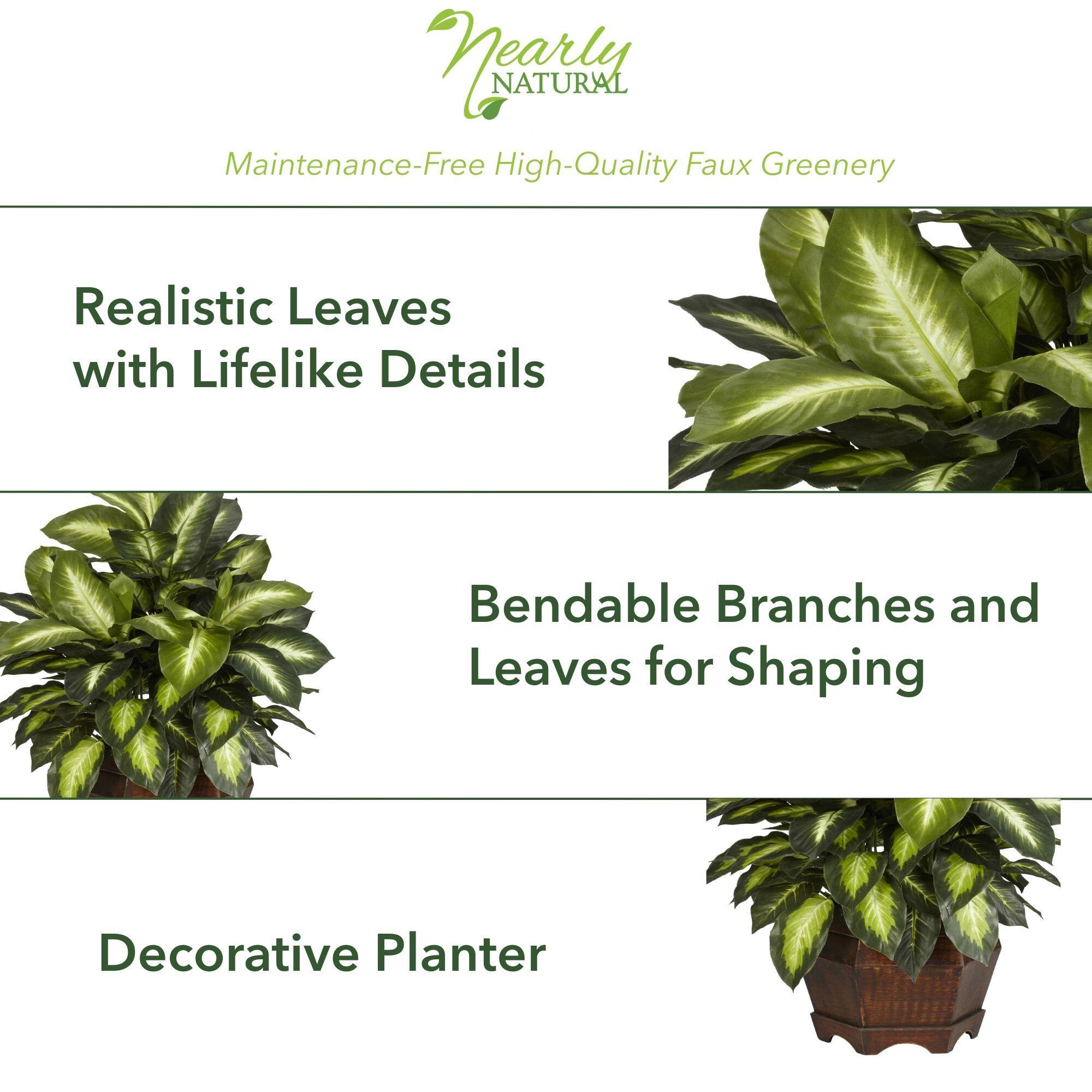 24" Golden Dieffenbachia Plant in Decorative Pot